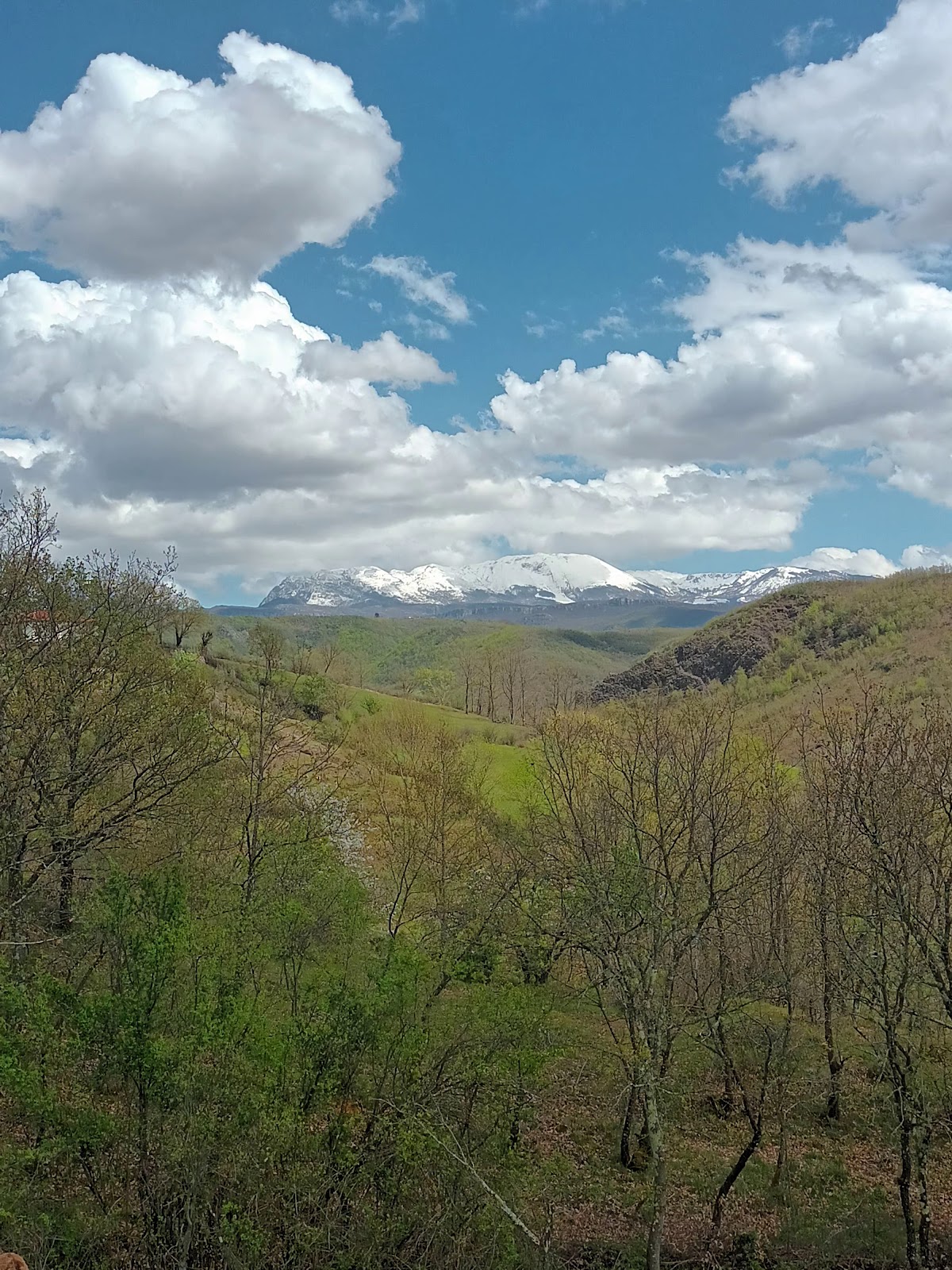 Tarazhi Eper (Upper Tarazh) photo 5