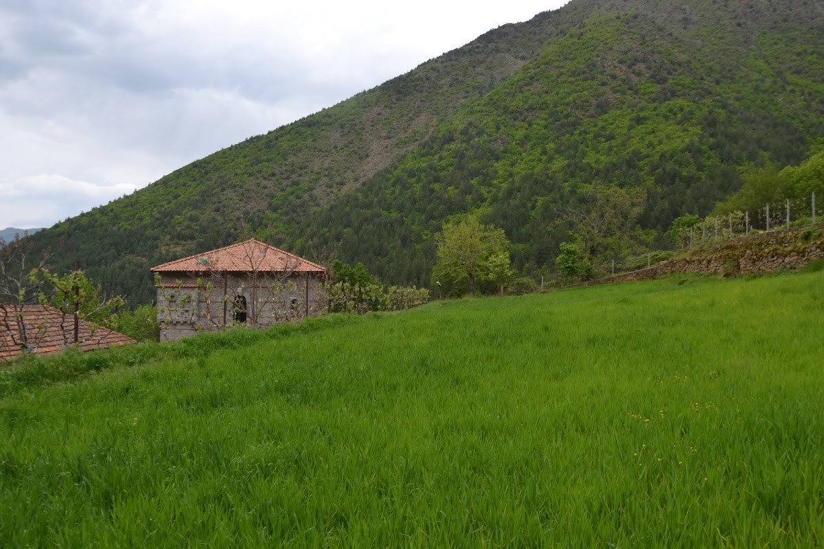 Alpine Villas Vajkal photo 3