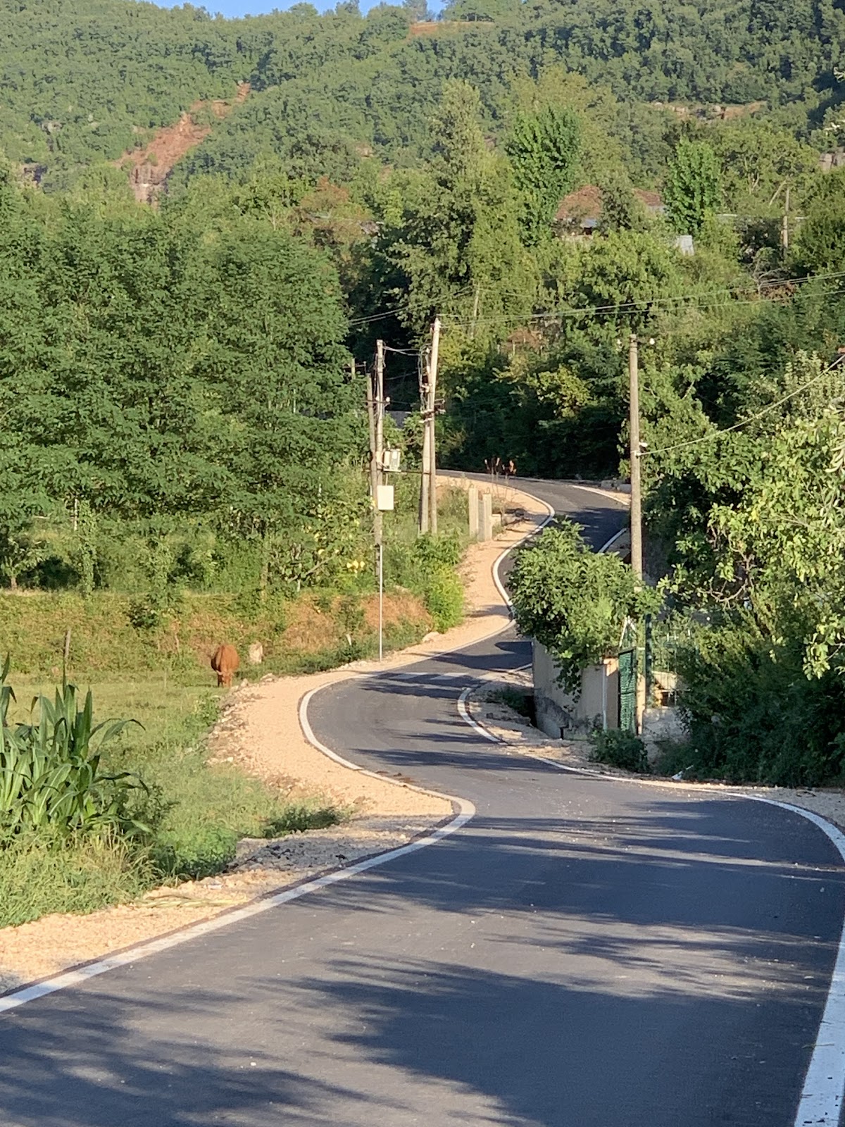 Gizaveshi photo 5