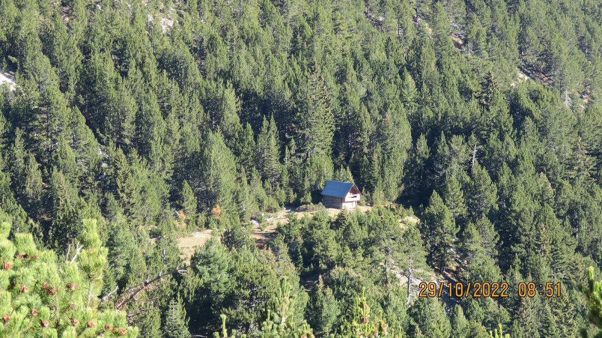 Stani i Mentorit photo 4
