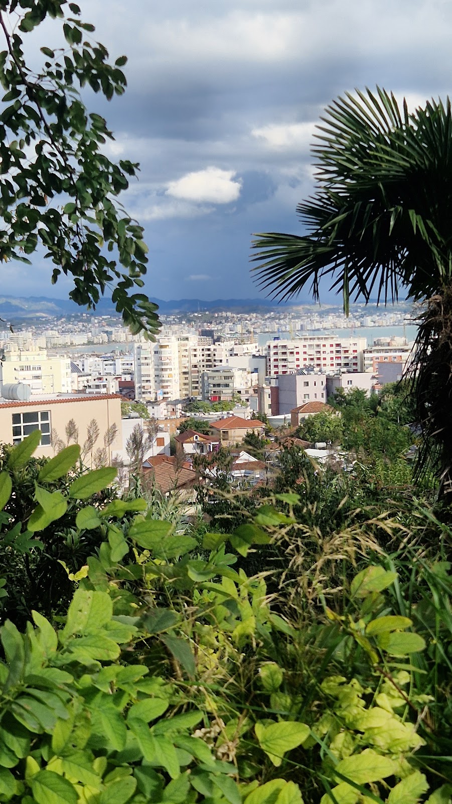 TERRACE OF DURRËS photo 4