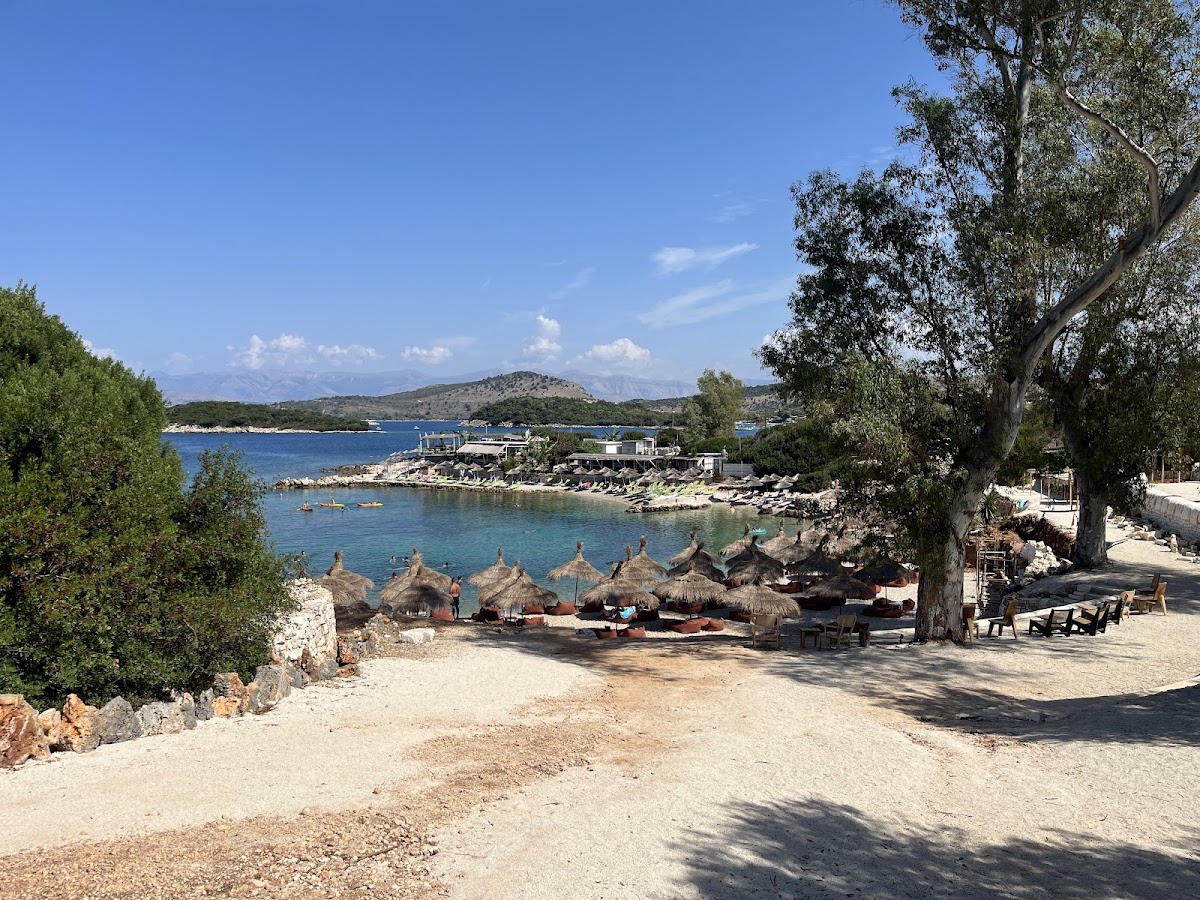 The Last Bay photo 2