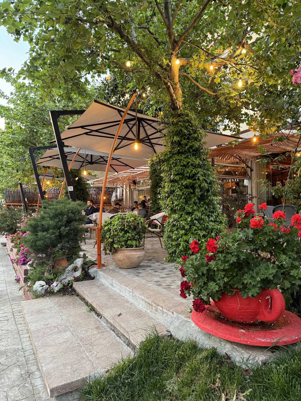 Bar Serrani 2 photo 4