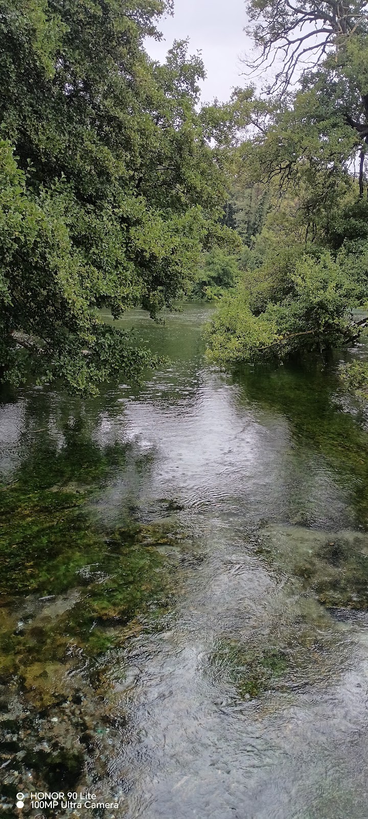 Viewpoint Springs photo 3