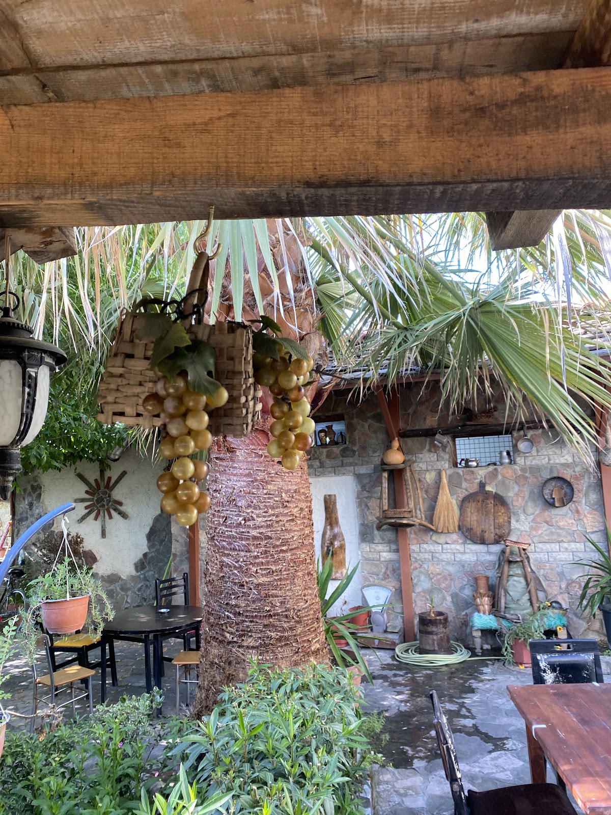 Taverna Lion photo 2