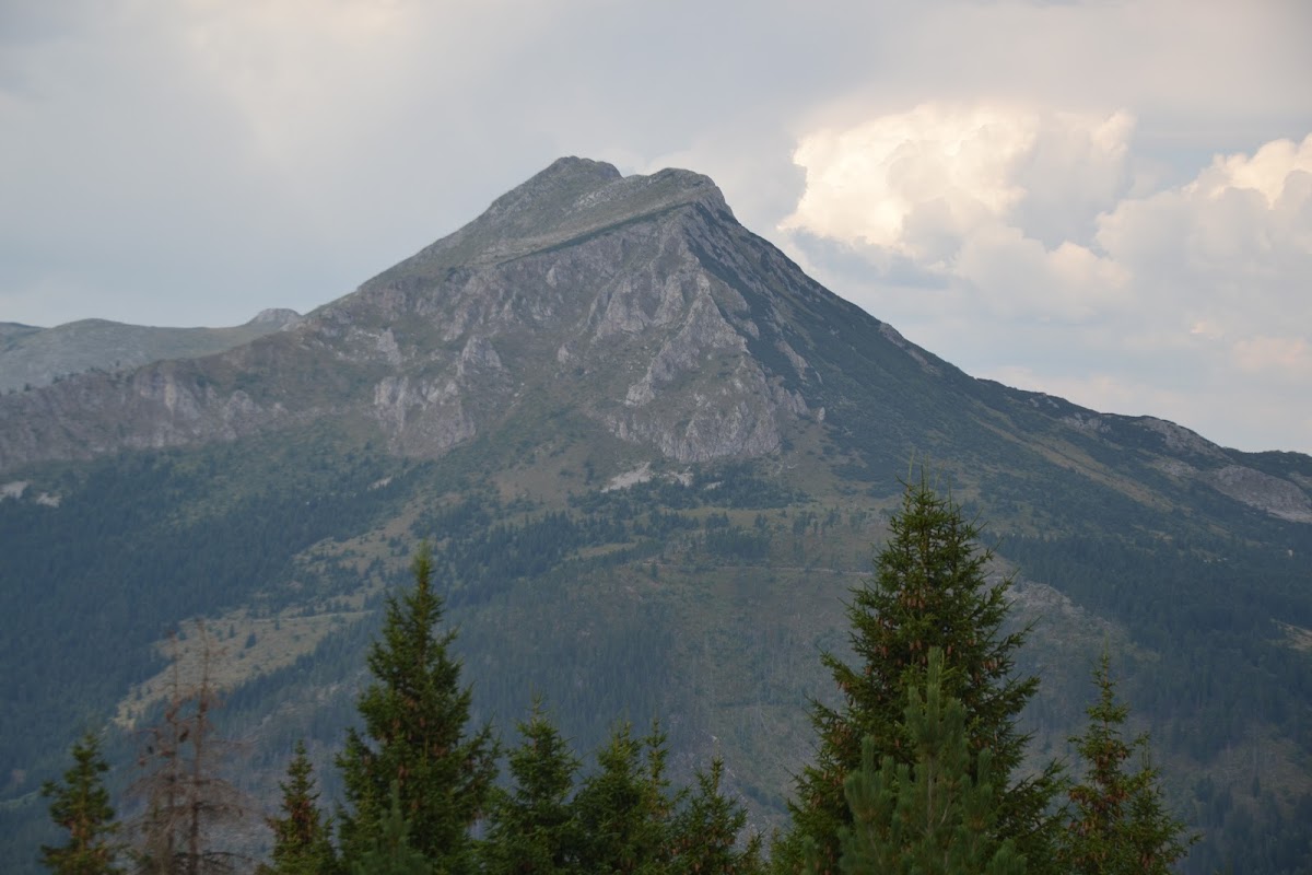 Shtypeq i vogel, Gurra e Llomit , Laz — Atraksione në Pejë — photo 2