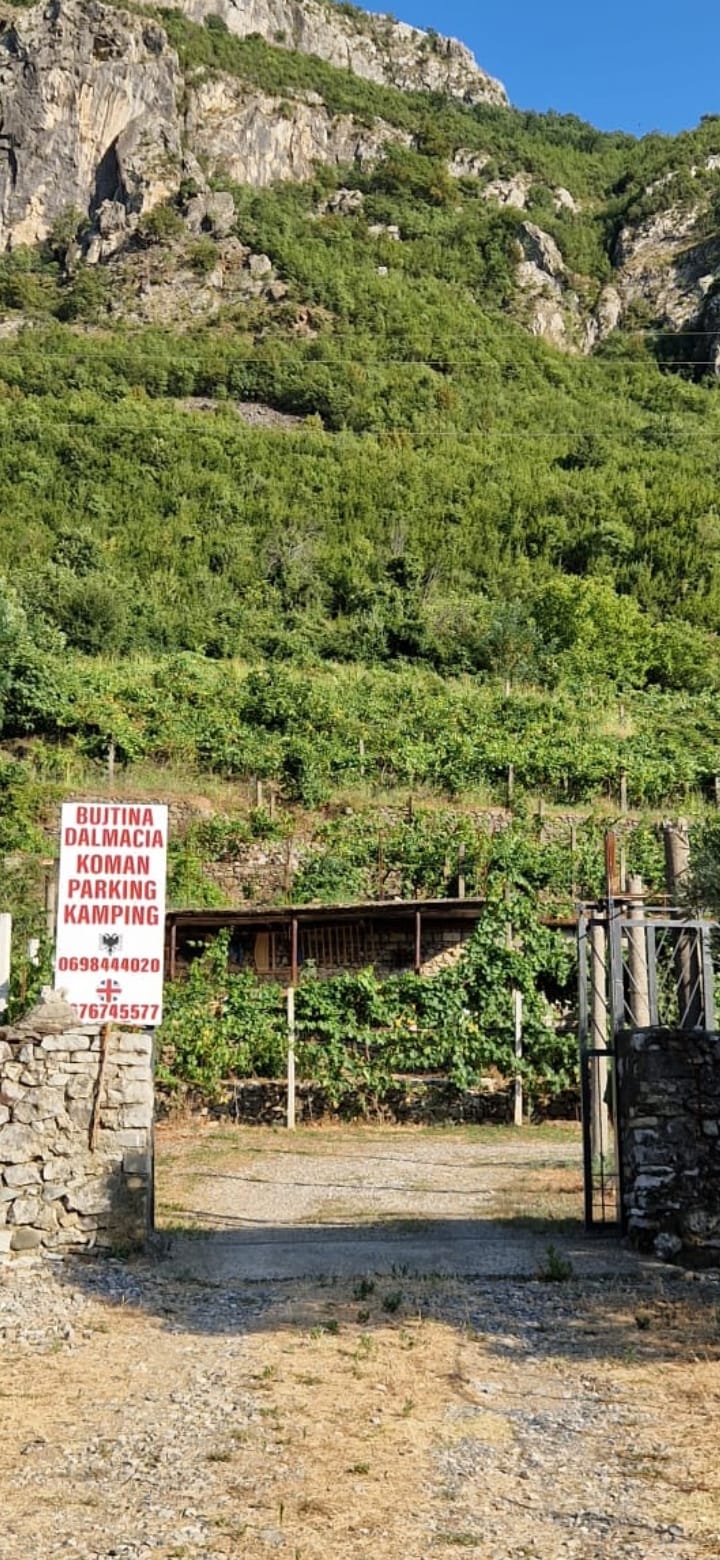BUJTINA DALMACIA KOMAN photo 4