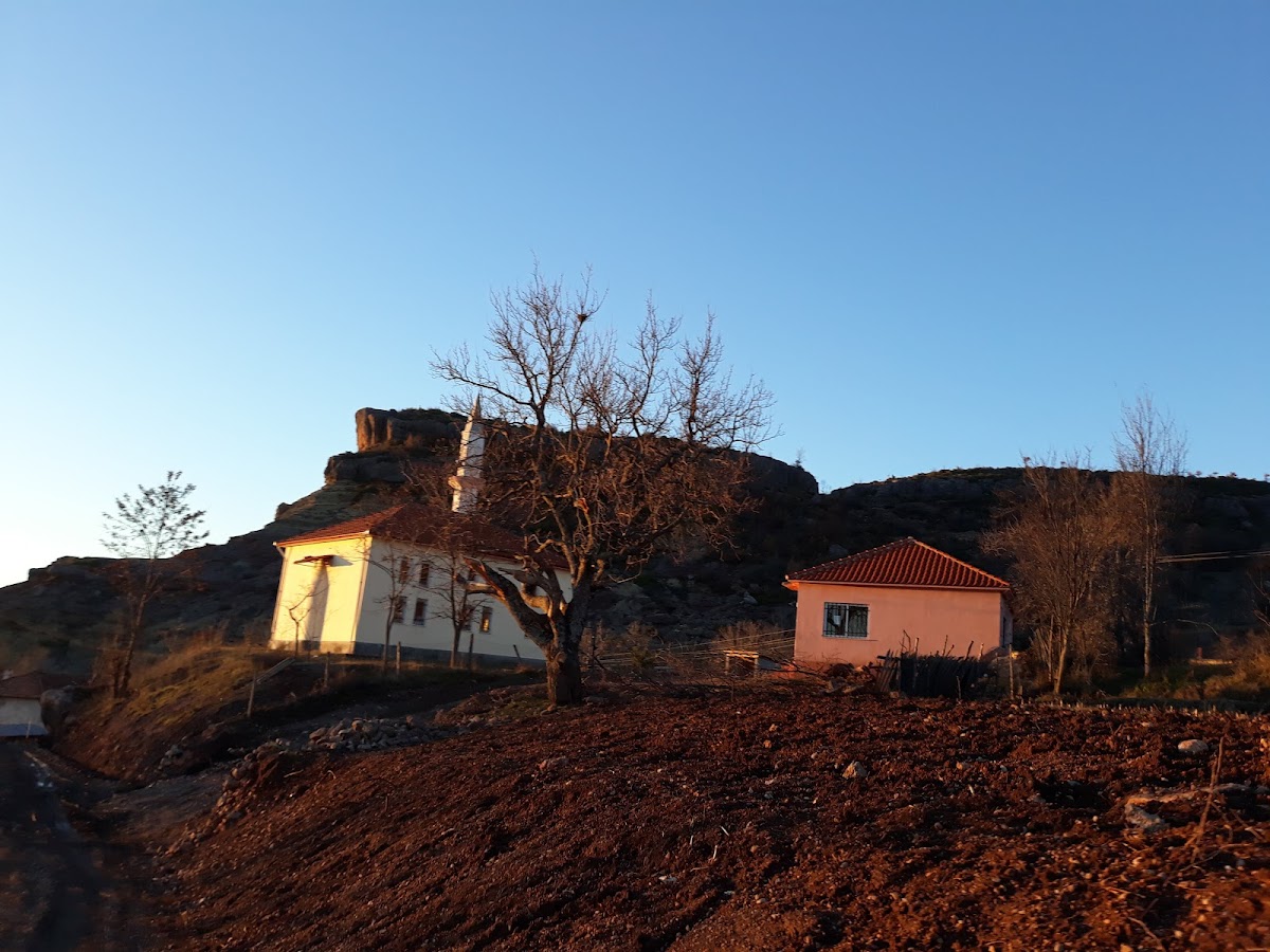 Rulot Camping
