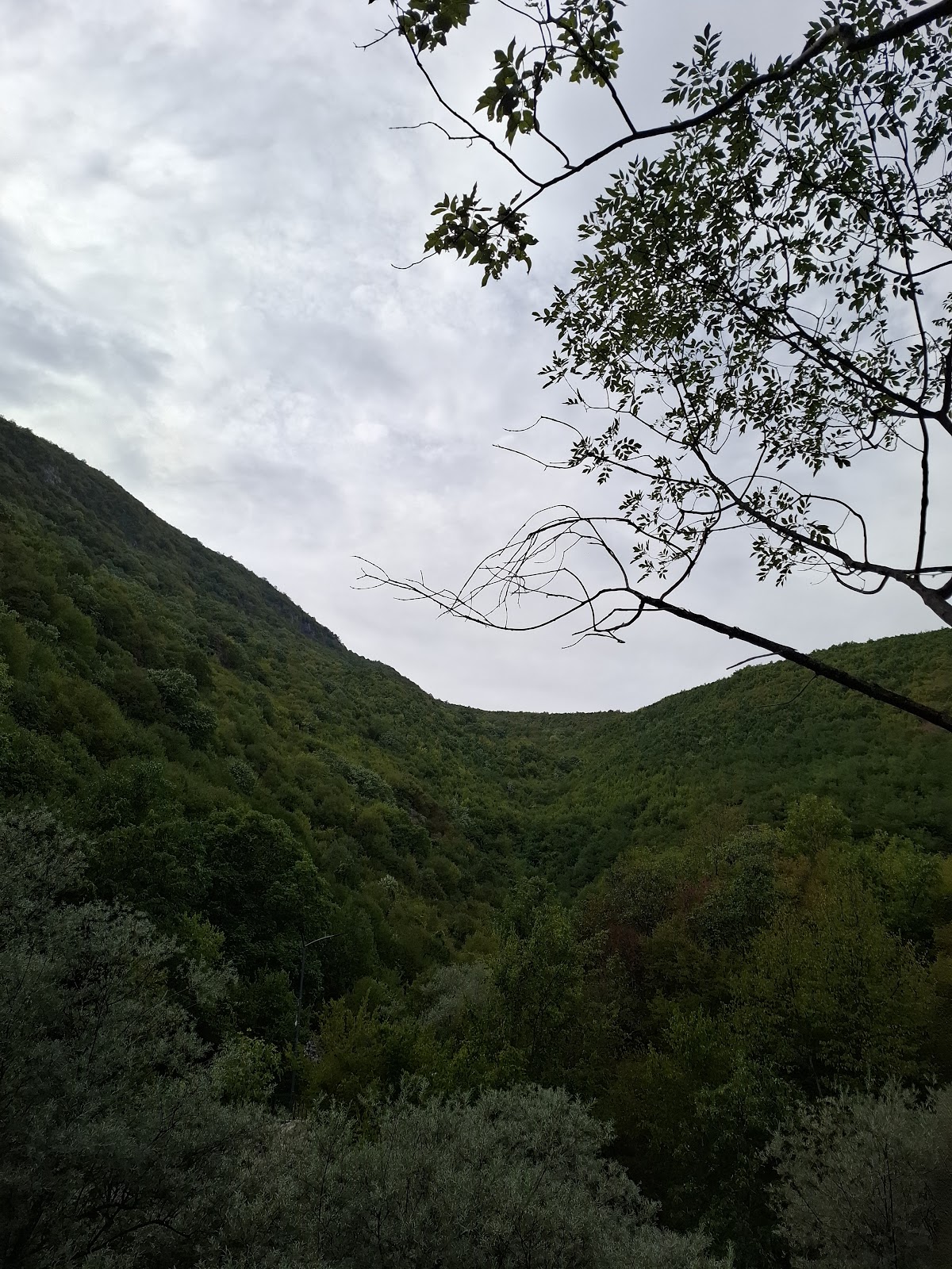 Radavc photo 3