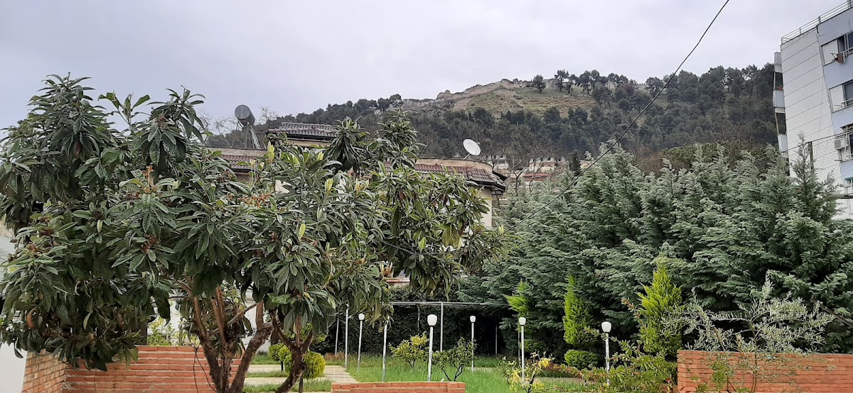 Bed and Breakfast Juri photo 5