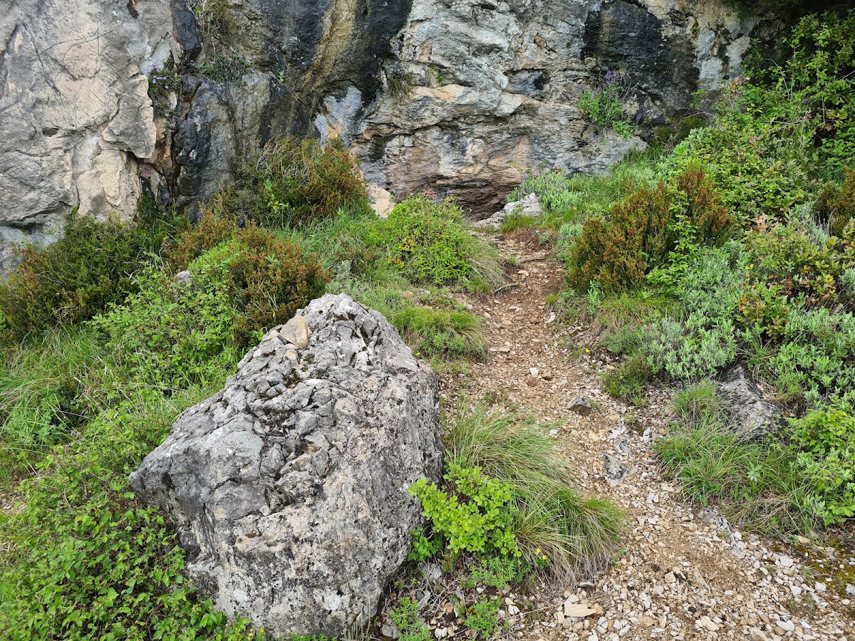 Cave photo 3