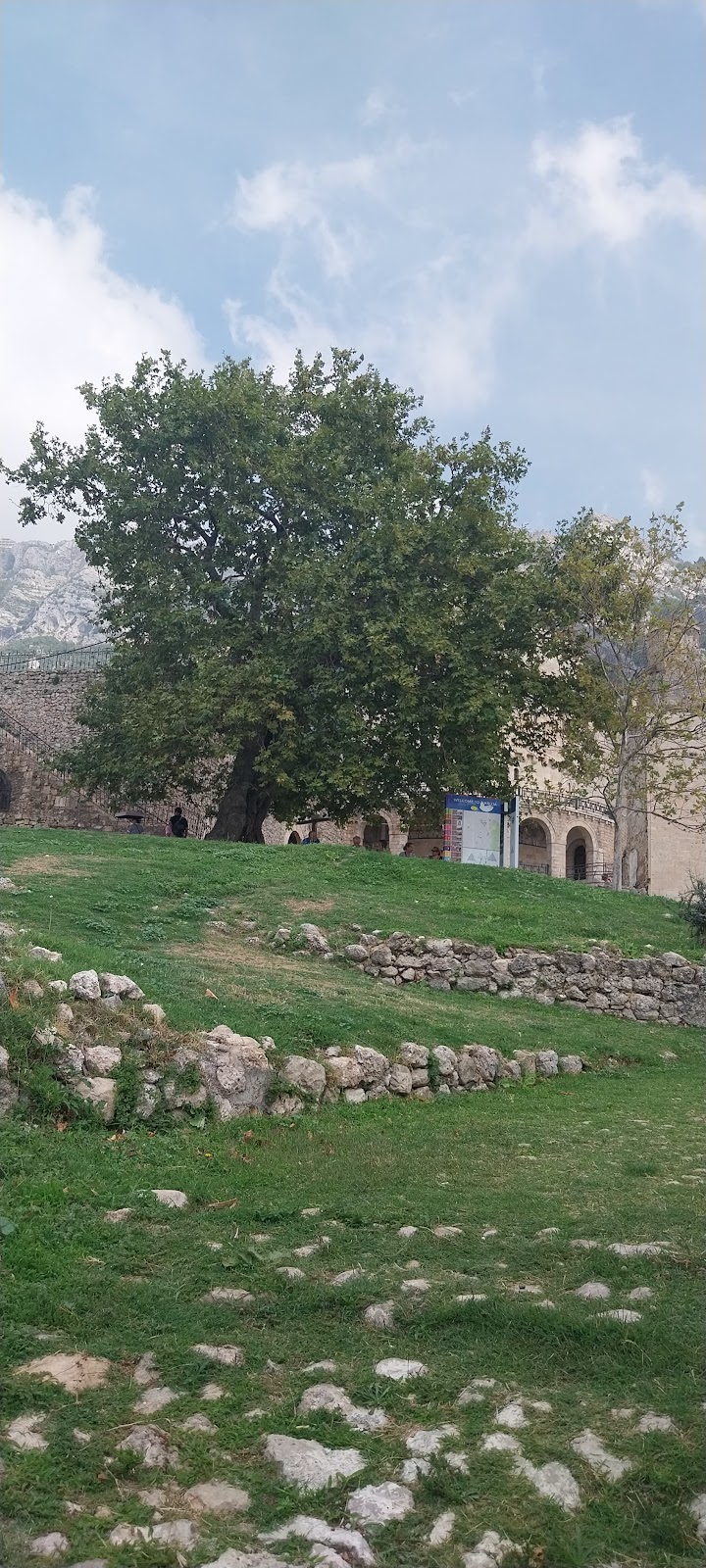 Old Well photo 5