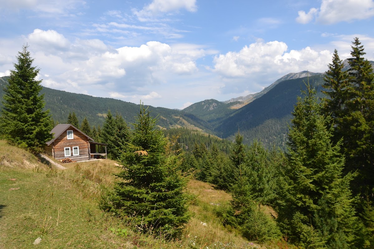 Shtypeq i vogel, Gurra e Llomit , Laz — Atraksione në Pejë — photo 4