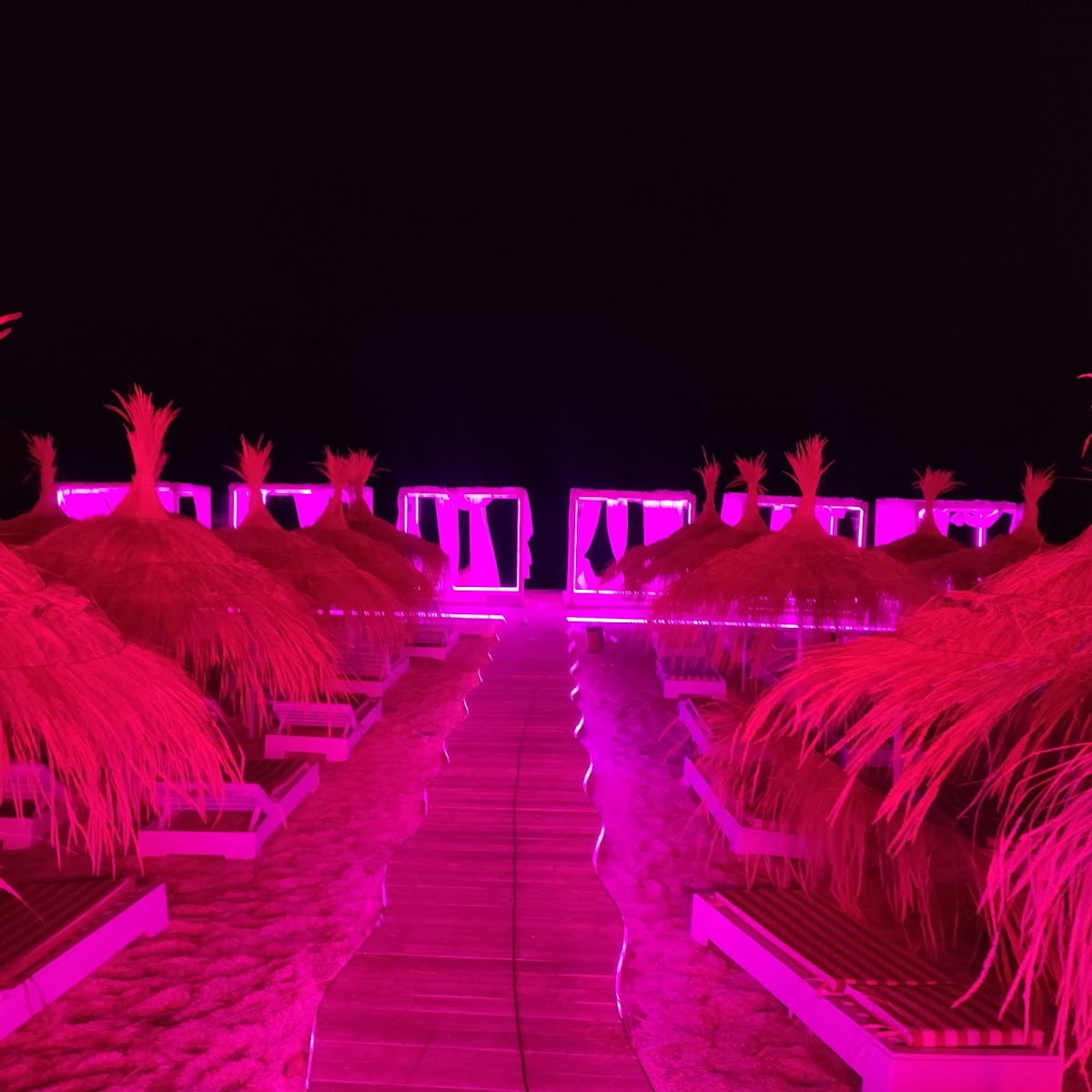 W Beach Bar photo 4