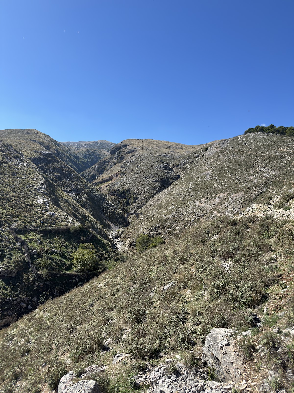 Ali Pasha Bridge Viewpoint photo 5
