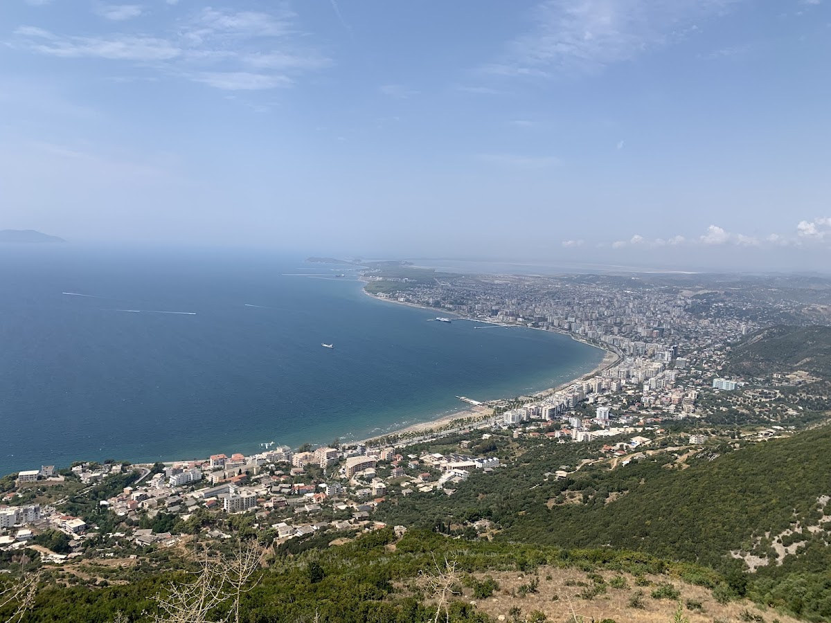View Point Dog photo 2