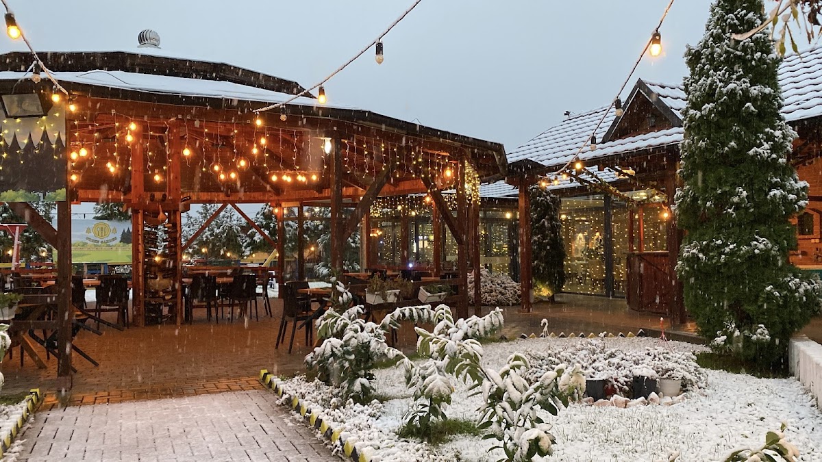 Restaurant Green Garden — Restorante në Suharekë — photo 3