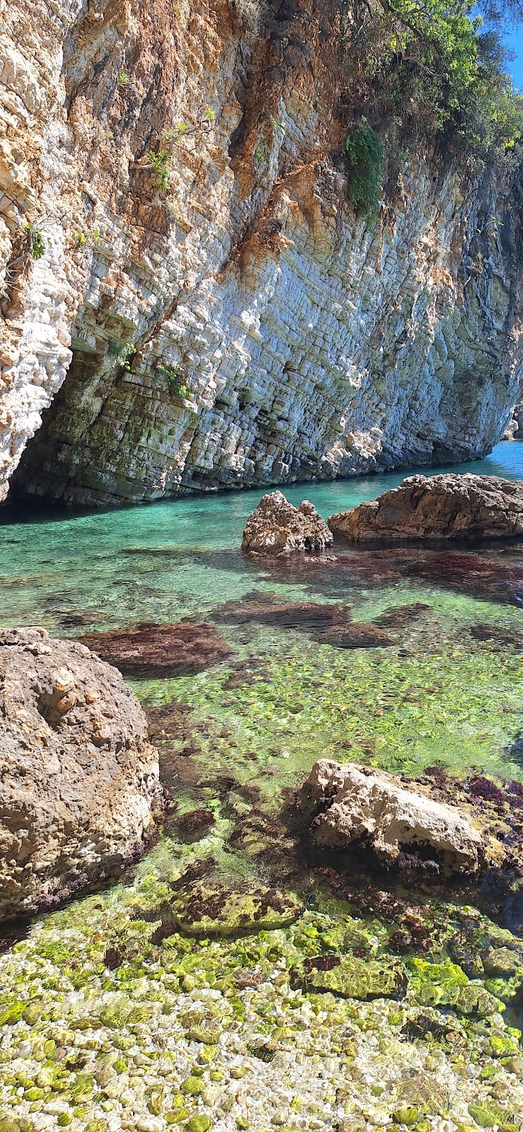 Eni’s Bay