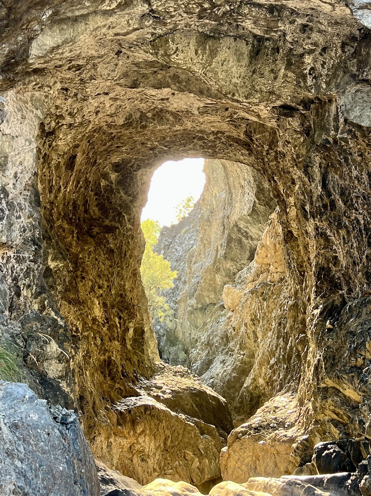 Tre Bojat “Guva” - Drenovë photo 3