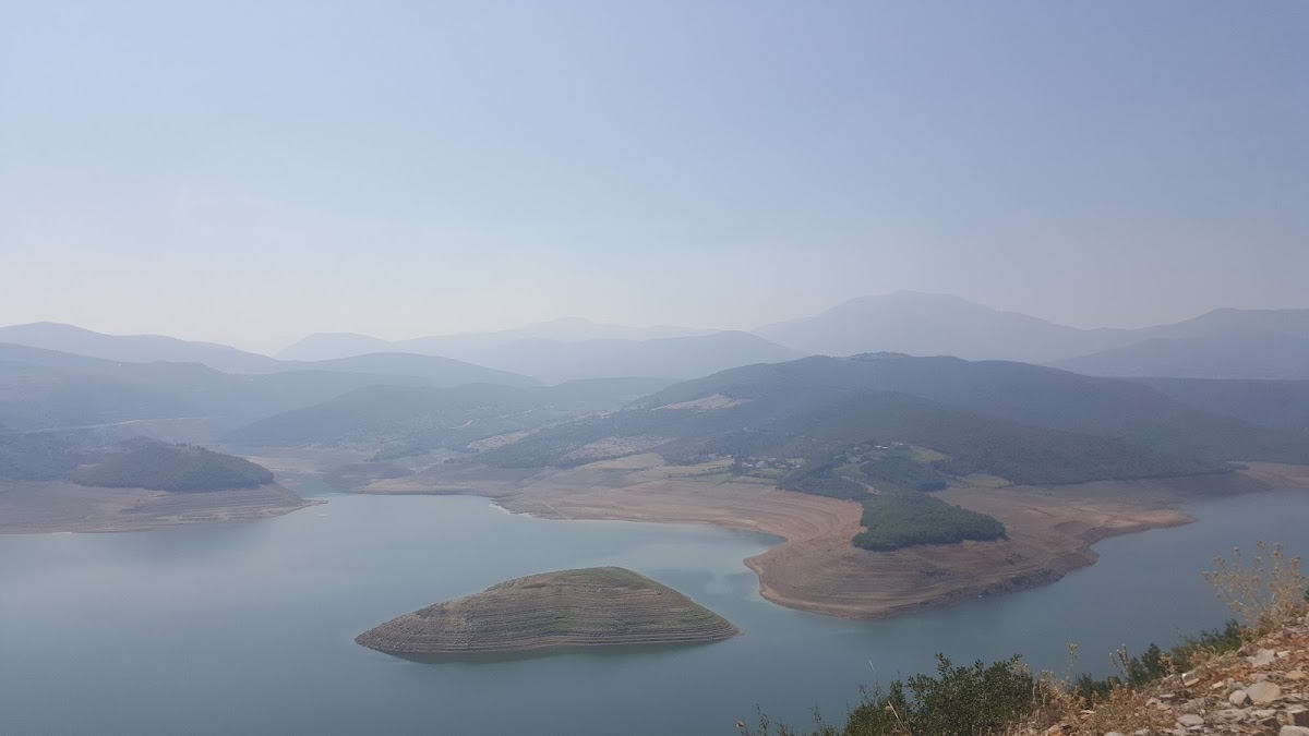 Bar Te Lori