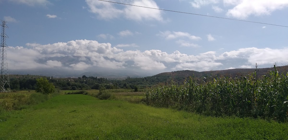 Laimi photo 4