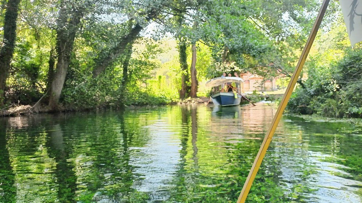Enjoyable Sight Of Springs photo 3
