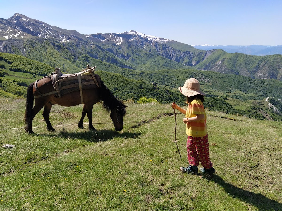 Camping Kapxhiu Peshkopi photo 4