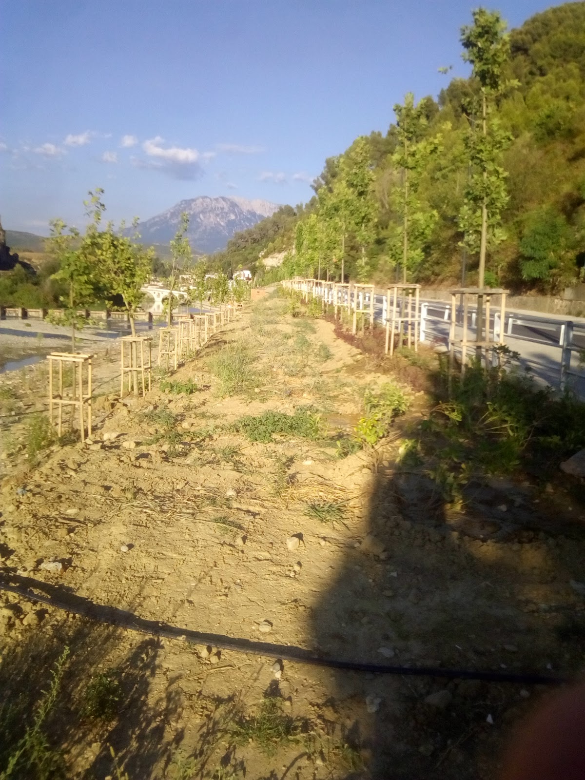Shëtitorja e re, Berat photo 5
