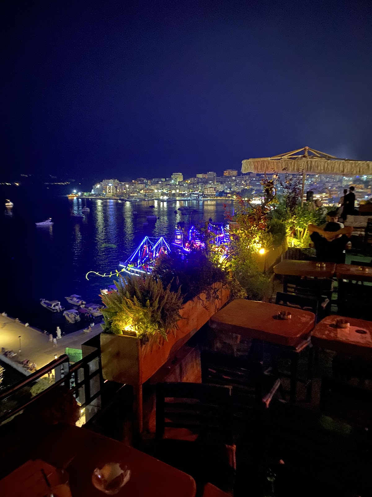 Jungle Rooftop Lounge photo 3