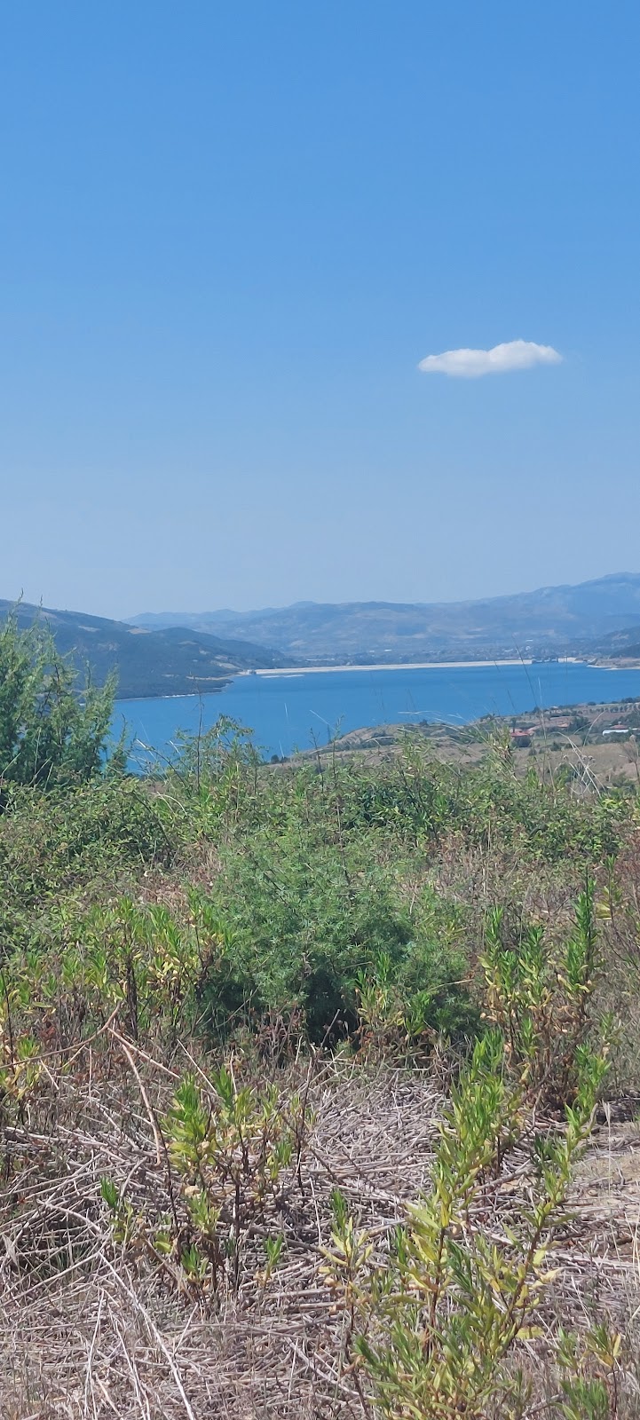 Viewpoint photo 3