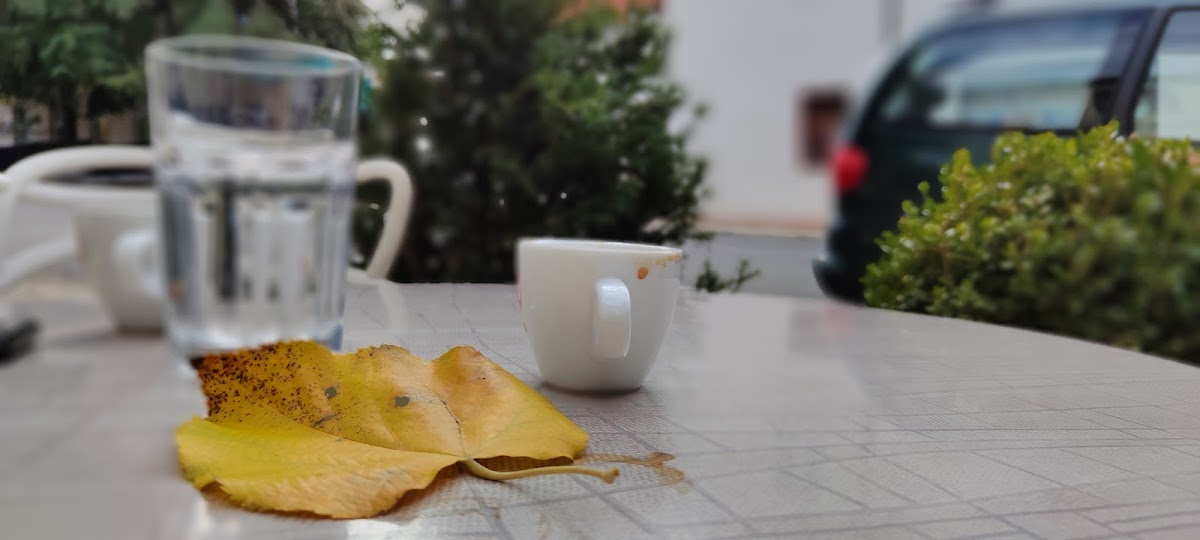 Coffe TE VANI photo 2