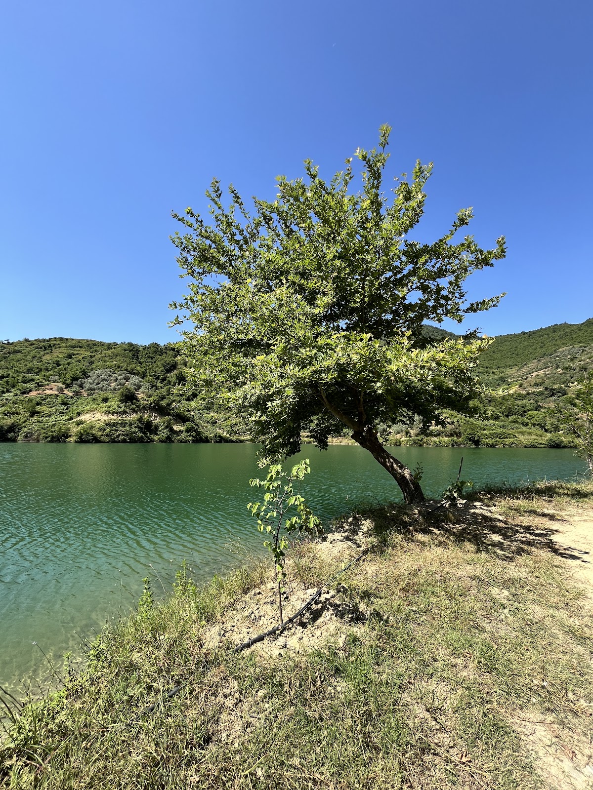 Roshnik’s Lake photo 5