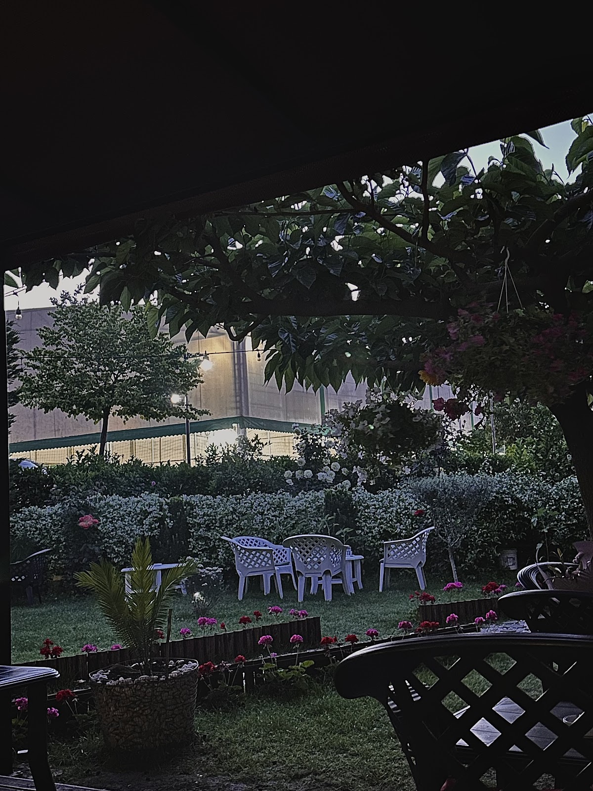Univers Garden photo 5