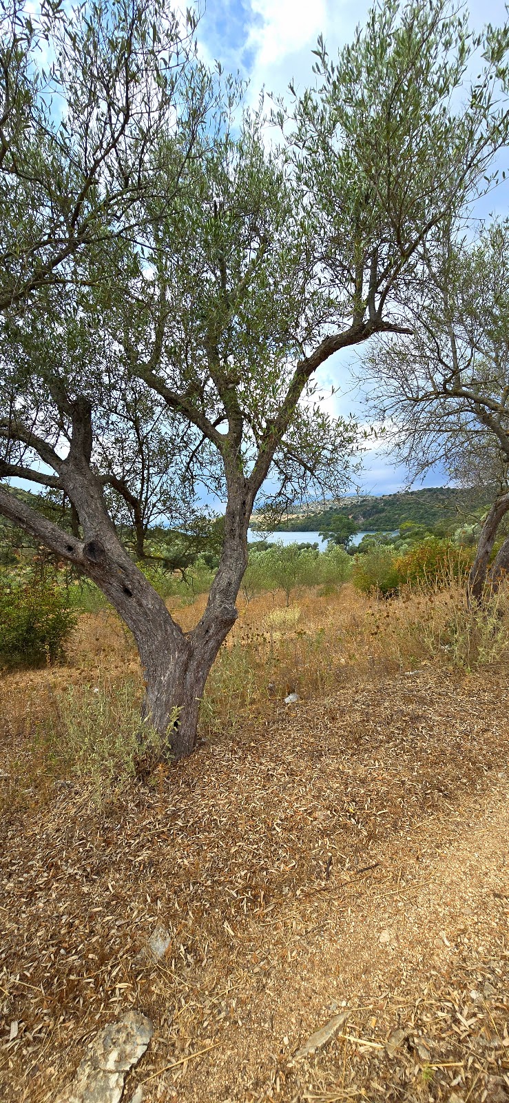 Ram Hill photo 3