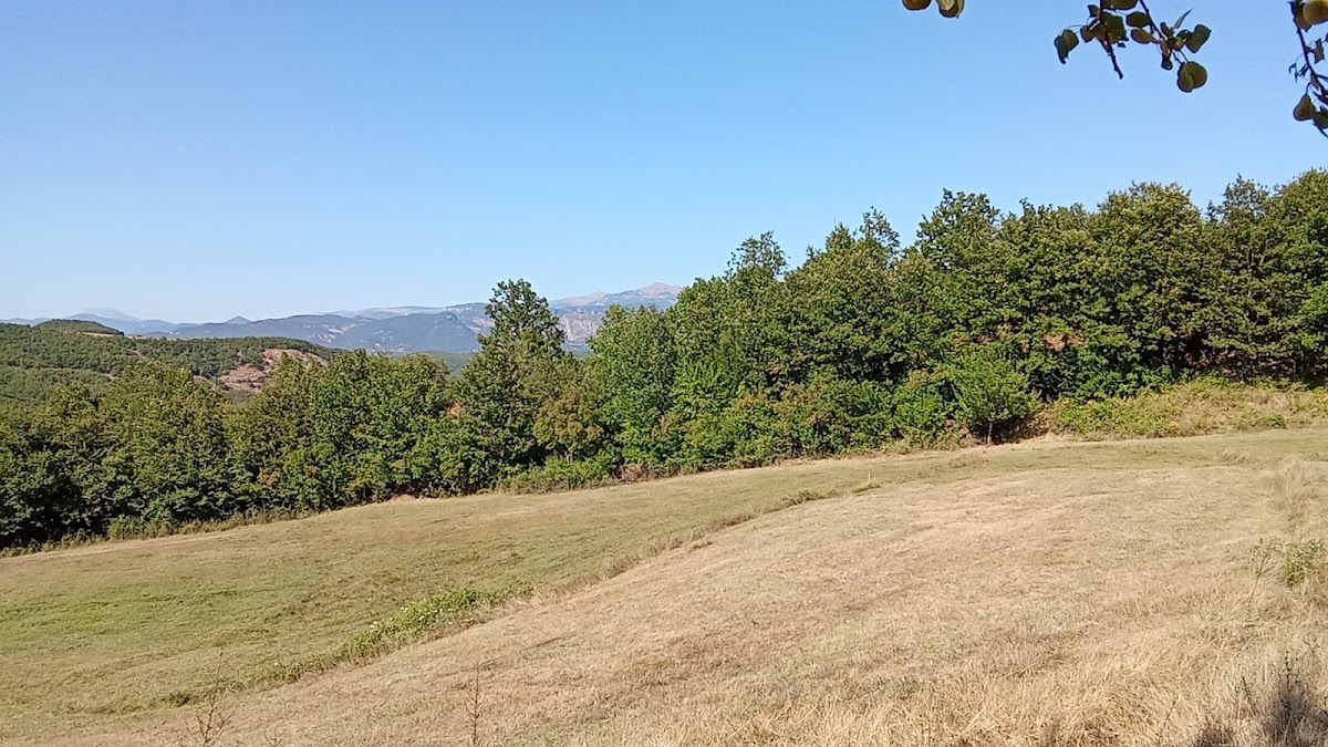 Lake of Nikë – Private Park photo 4