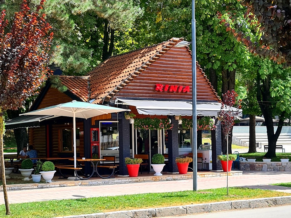 Bar Rinia