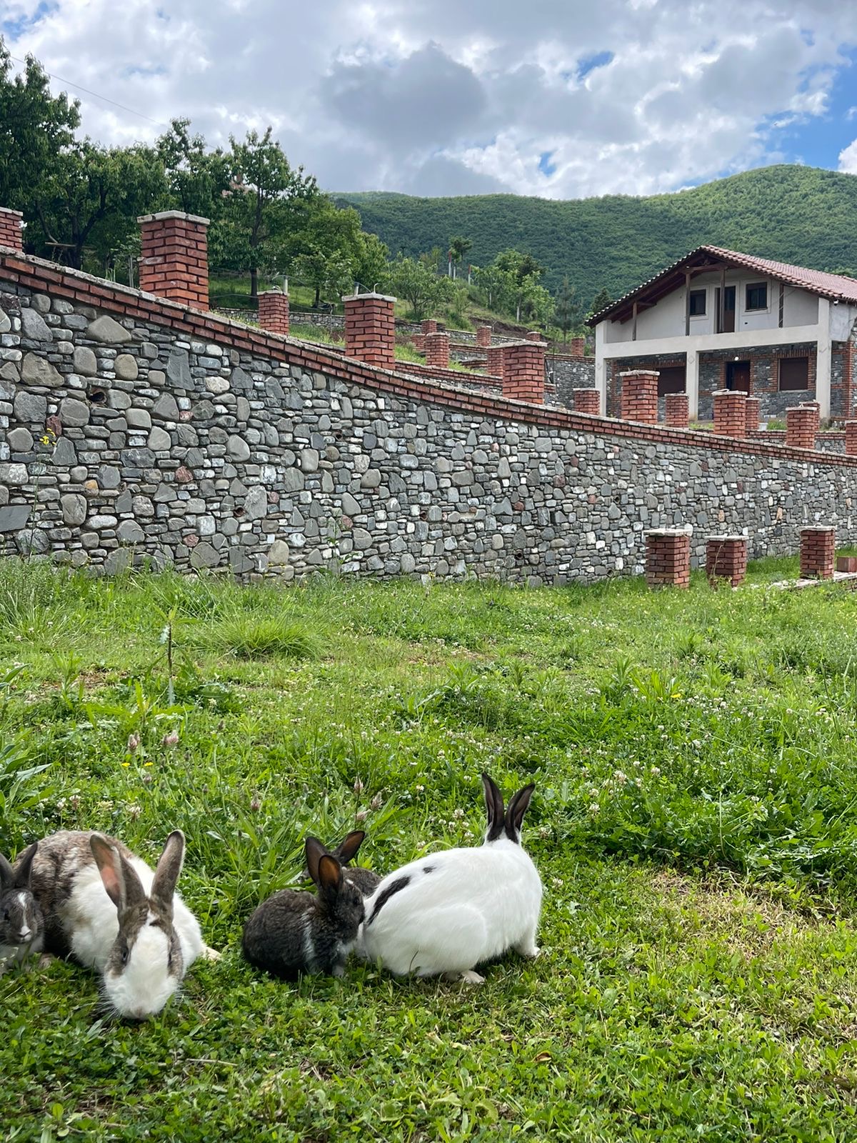 Nia’s Farm photo 2