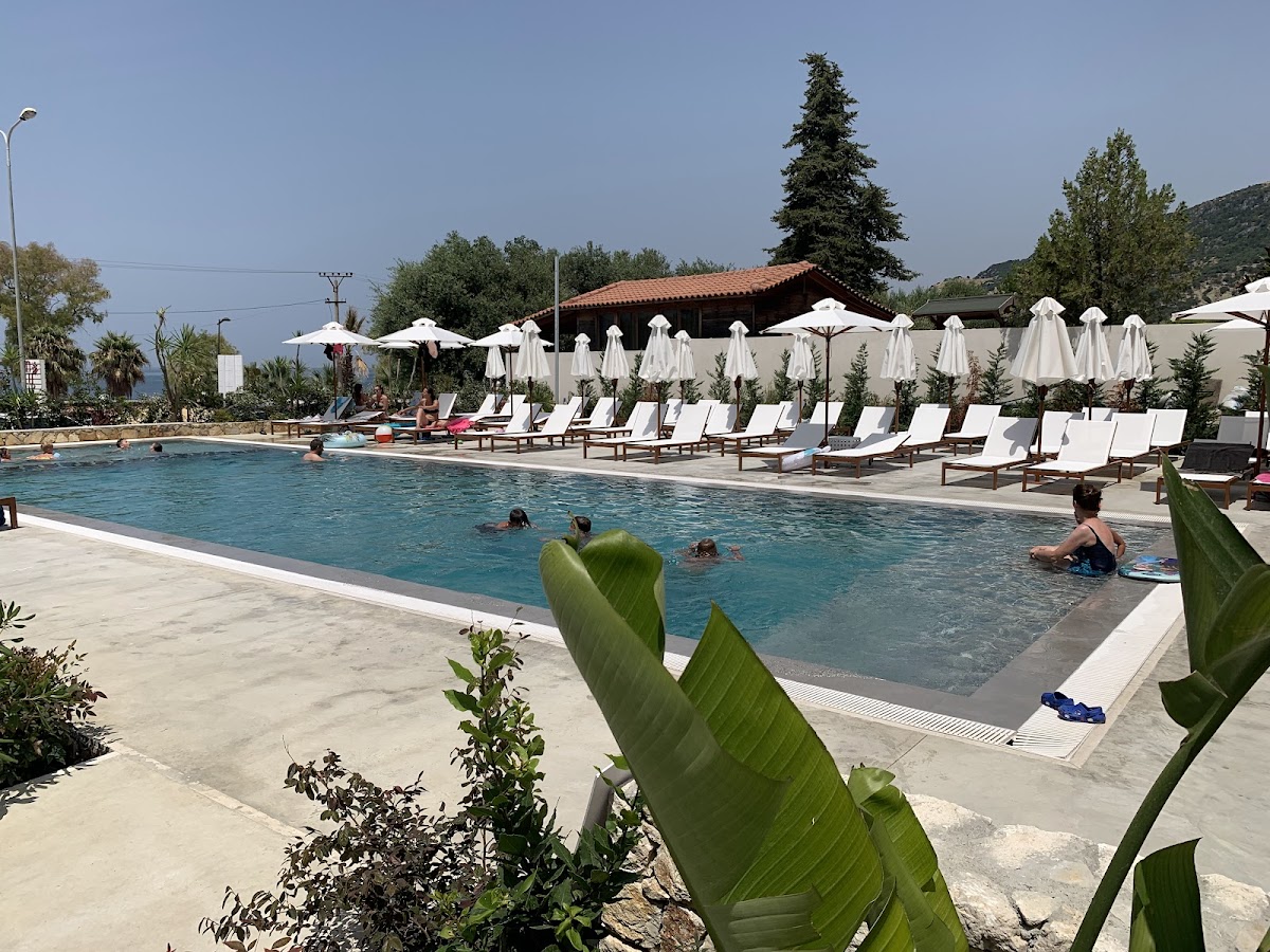 OV Hotel photo 3
