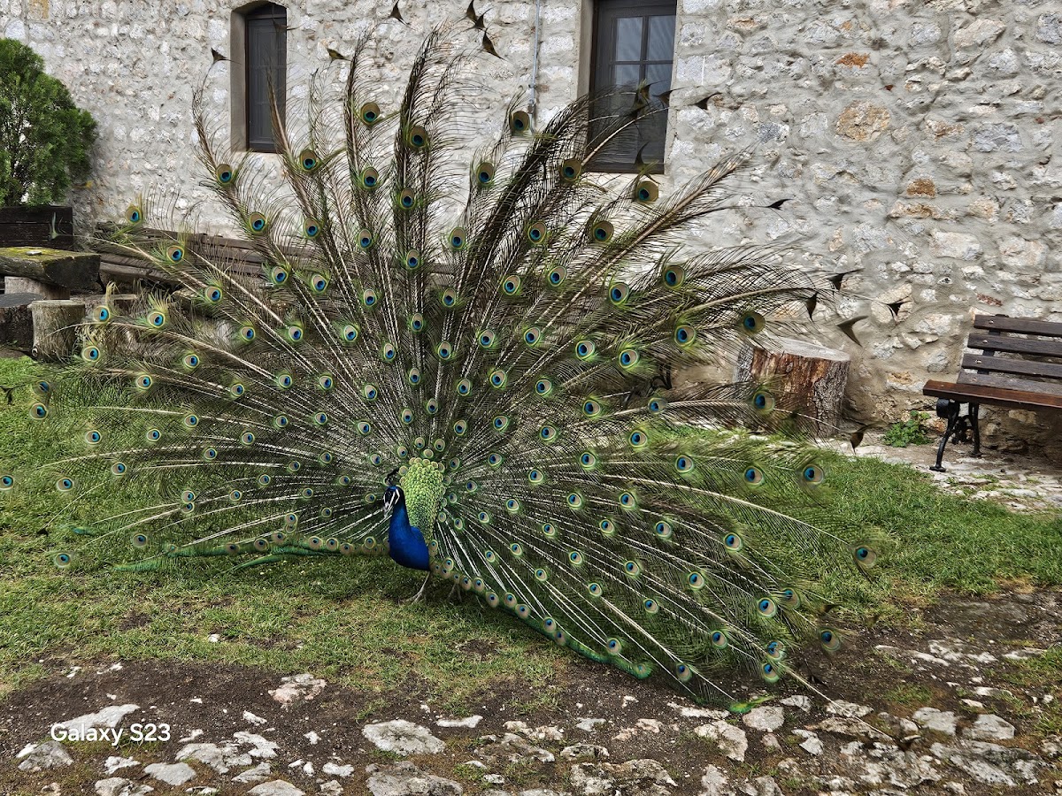 Tour Albania - Tours & Experiences - the Pearl of Europe photo 3