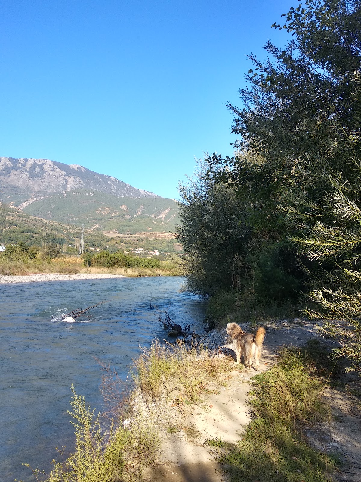 Camping Hoxha photo 3