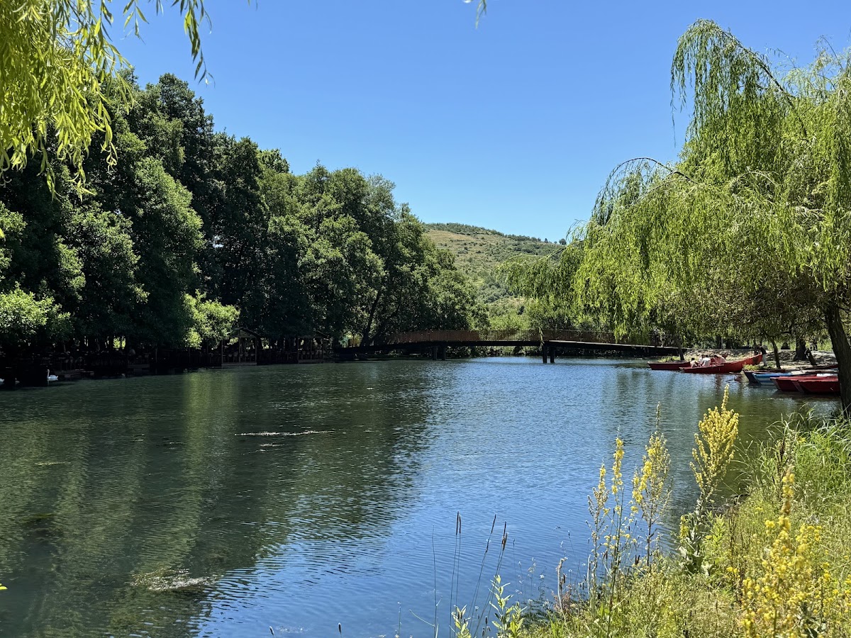National Park of Drilon — Atraksione në Pogradec — photo 3