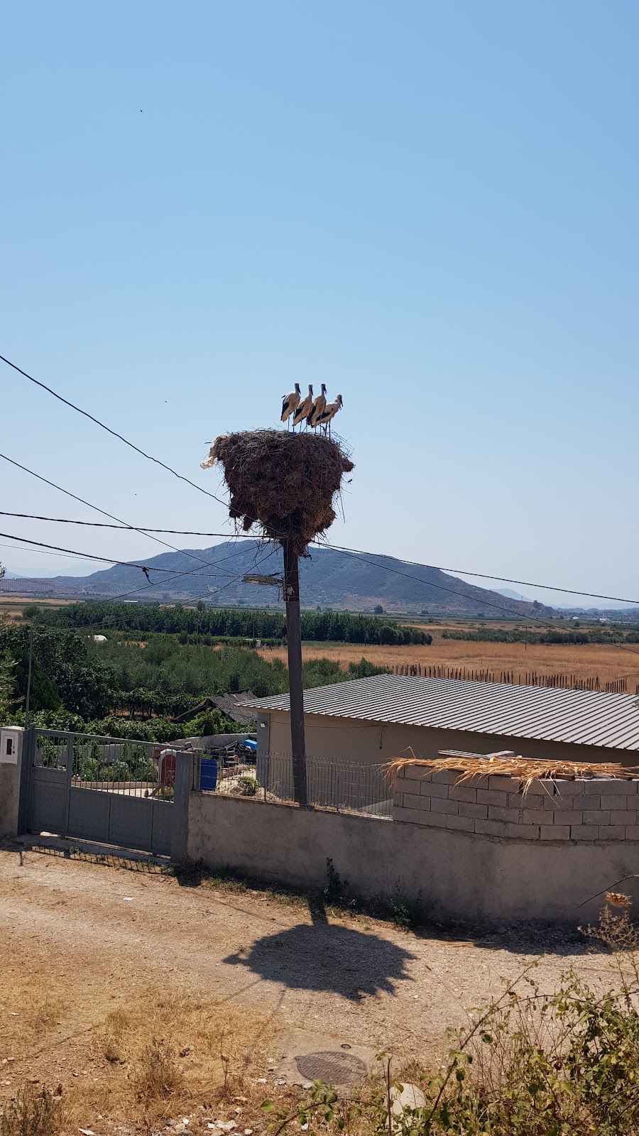 Qendra e fshatit Bajkaj photo 2