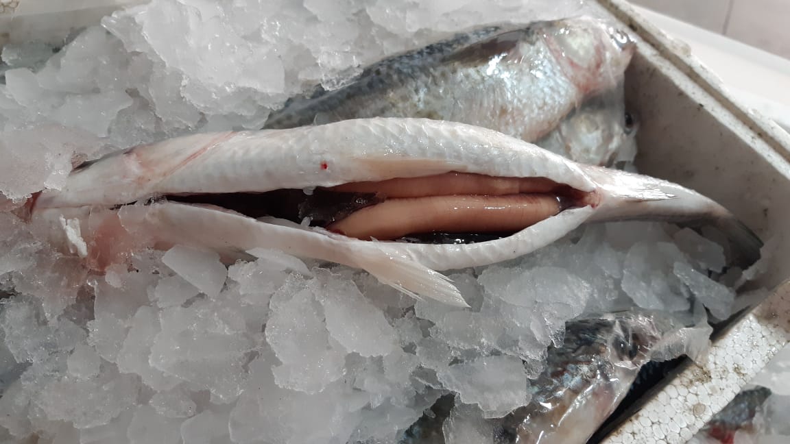 Meco Fish Shop photo 2