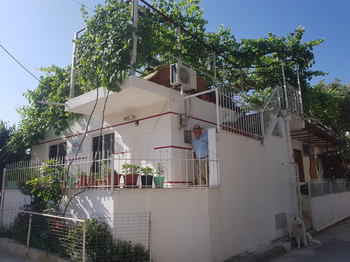 Ilir Guest House 1 photo 4