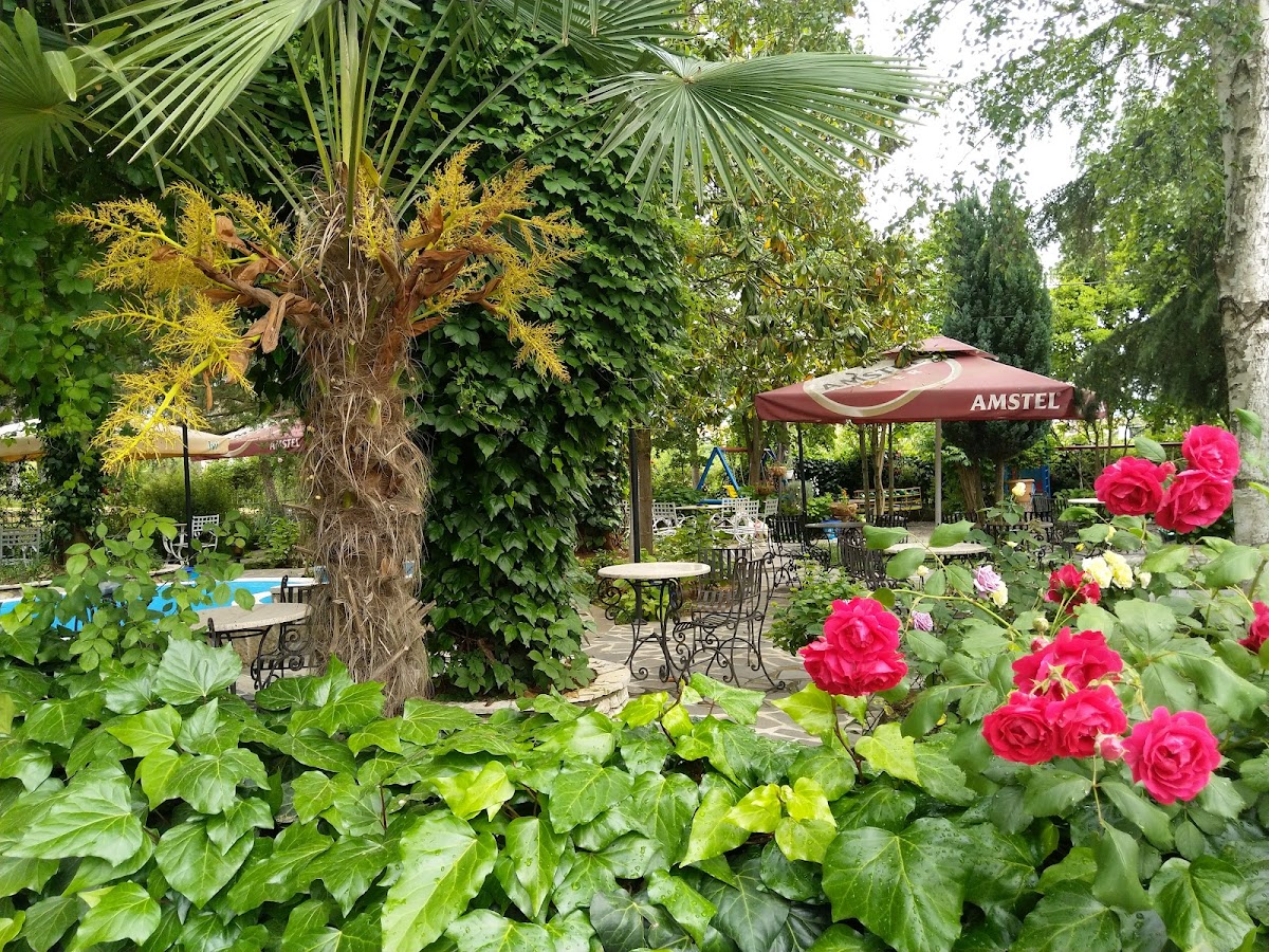 TARZANI Bar Restaurant Piceri photo 5