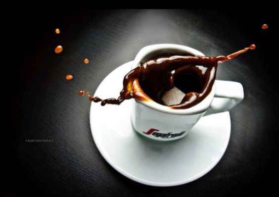 Segafredo Zanetti Albania photo 5