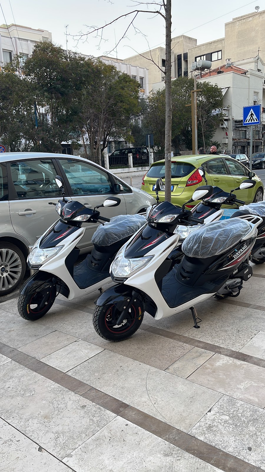 Blue Wings Car Rental & Travel Agency photo 2