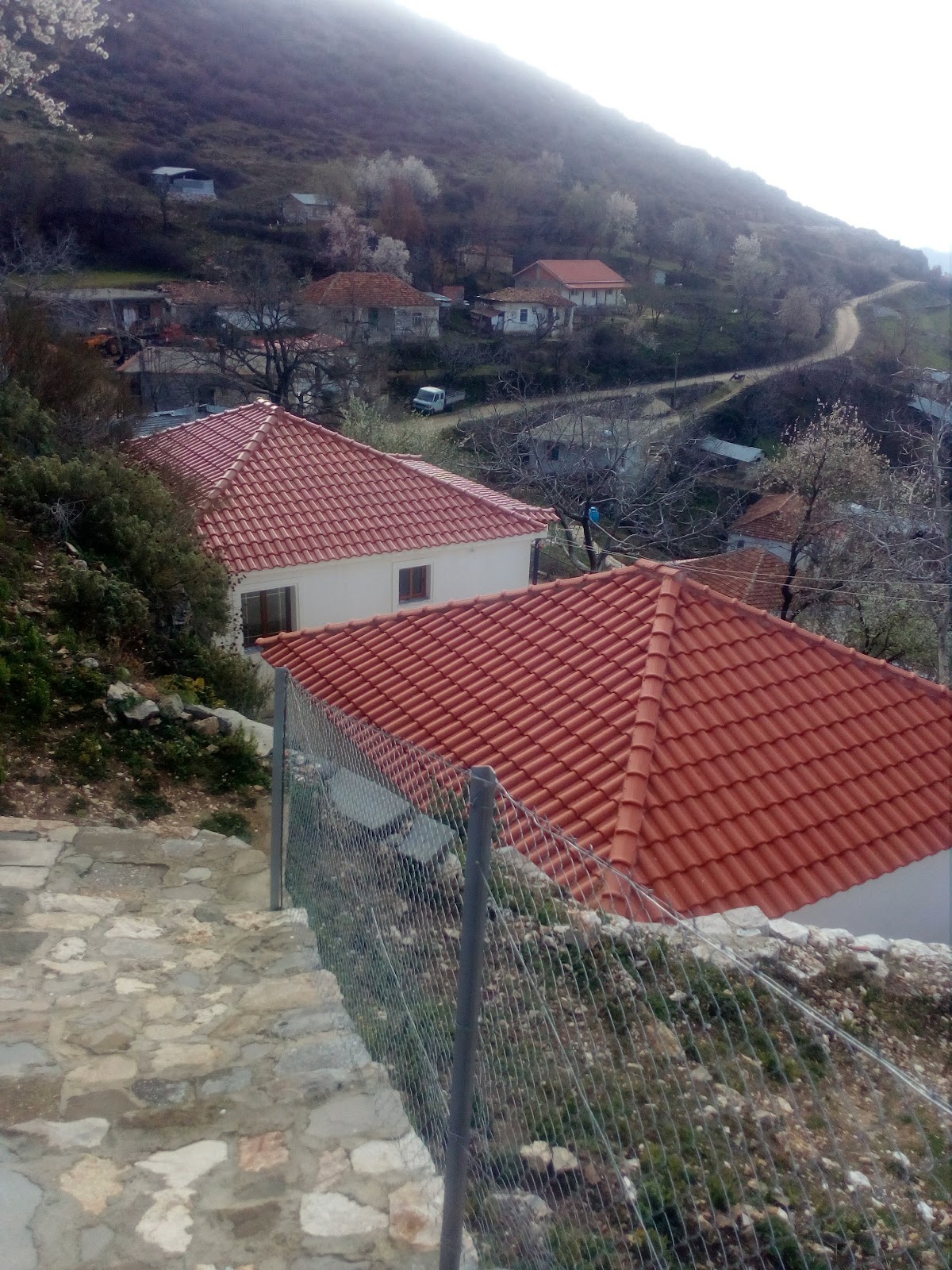 Mbjeshove photo 5