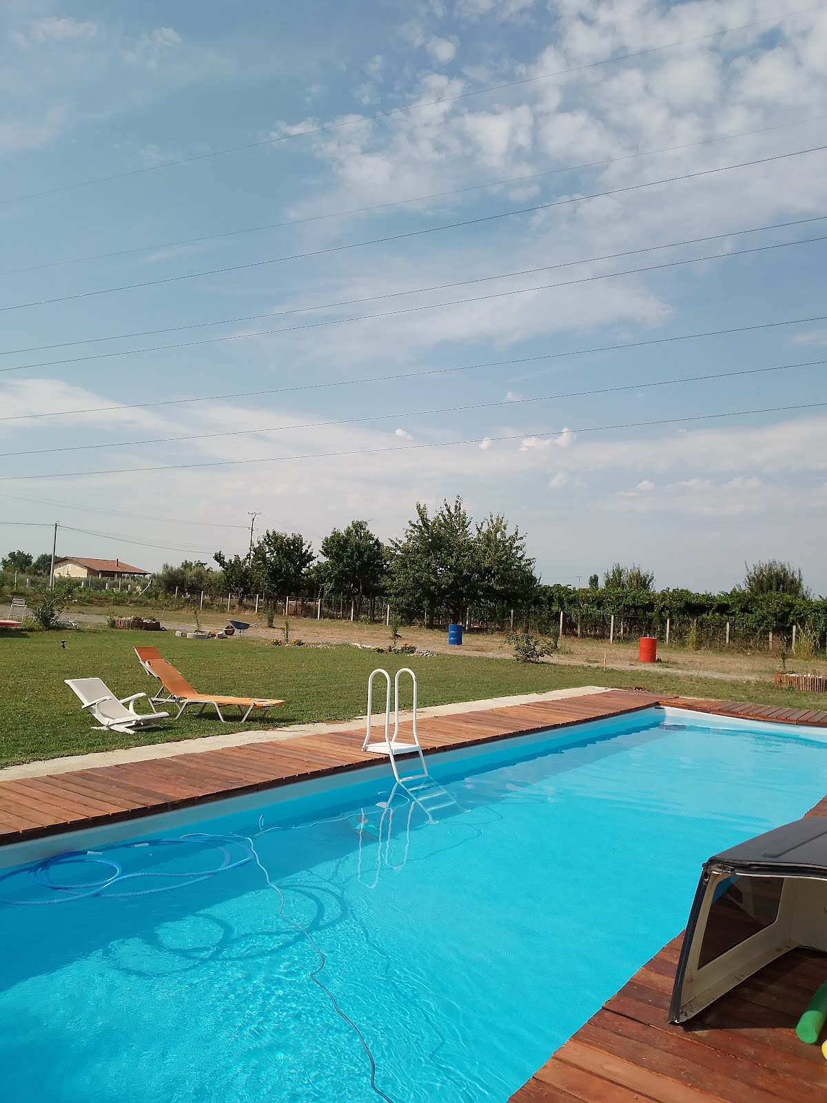 Agri Camping italiano - Eucalyptus photo 2