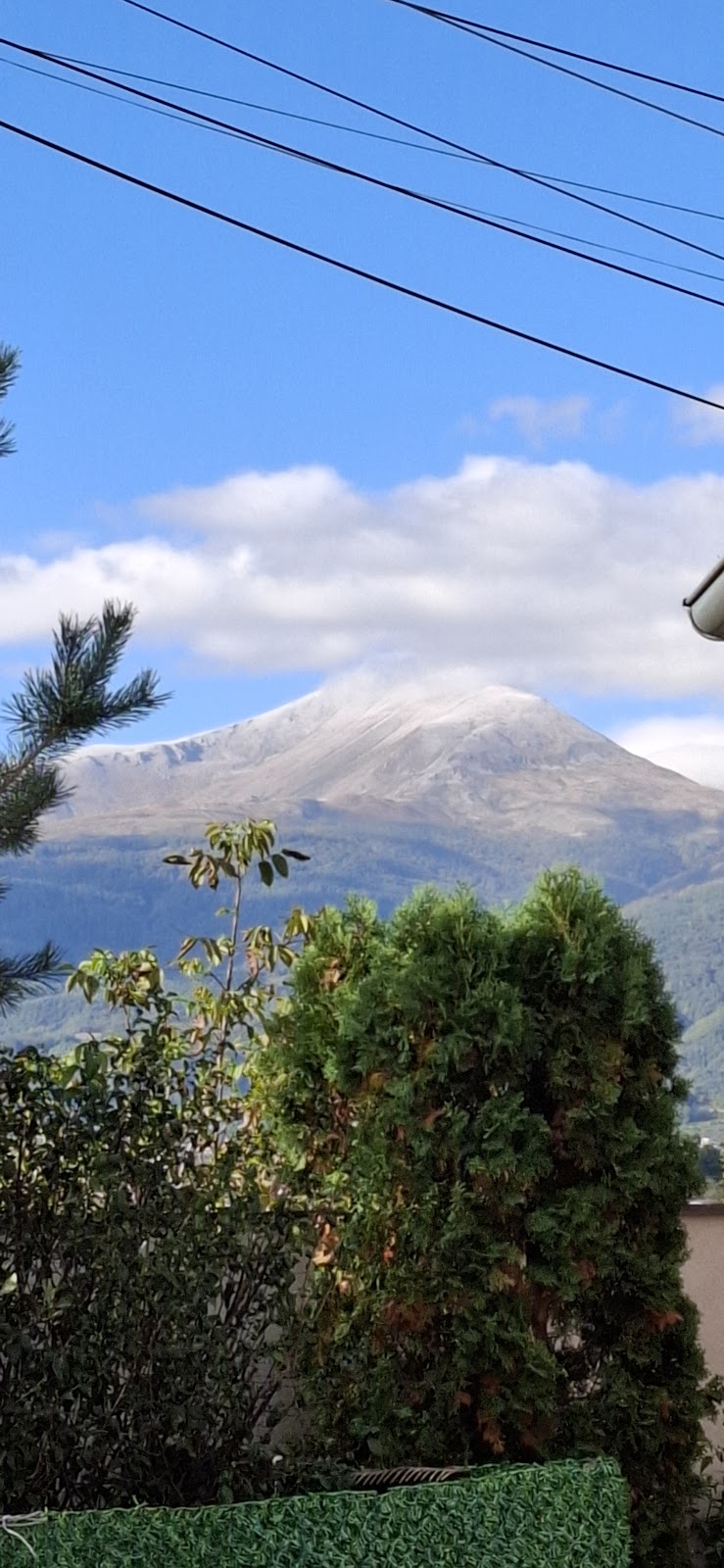 Villa Alfa photo 5